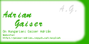 adrian gaiser business card